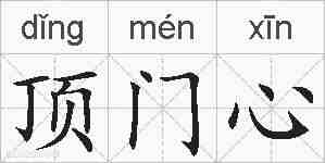 顶门心的拼音