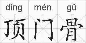 顶门骨的拼音