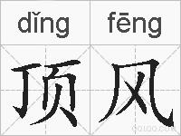 顶风的拼音
