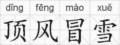 顶风冒雪的拼音