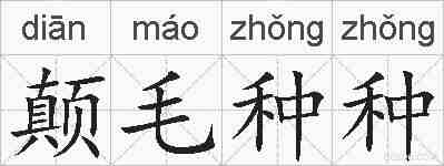 颠毛种种的拼音