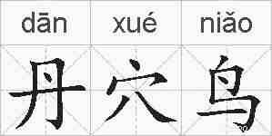 丹穴鸟的拼音