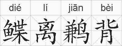 鲽离鹣背的拼音