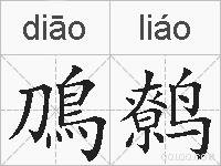 鳭鹩的拼音