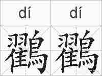 鸐鸐的拼音