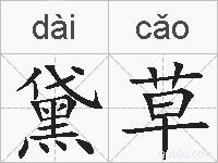 黛草的拼音