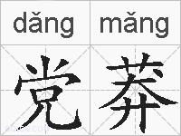 党莽的拼音