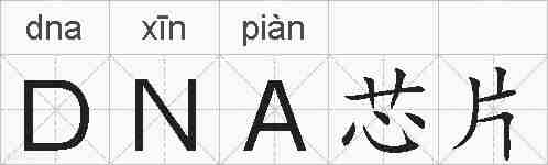 DNA芯片的拼音