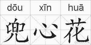 兜心花的拼音