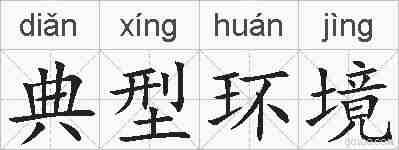 典型环境的拼音