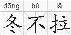 冬不拉的拼音