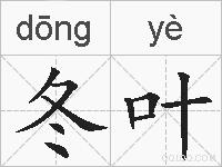 冬叶的拼音