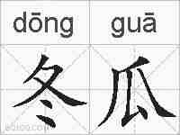 冬瓜的拼音