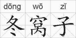 冬窝子的拼音