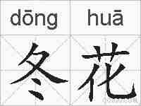 冬花的拼音