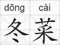 冬菜的拼音