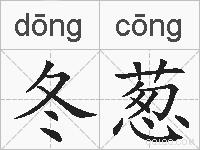 冬葱的拼音