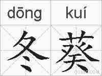冬葵的拼音
