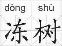 冻树的拼音