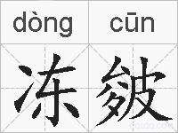 冻皴的拼音