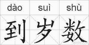 到岁数的拼音