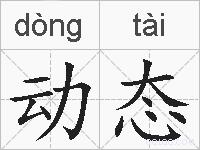 动态的拼音