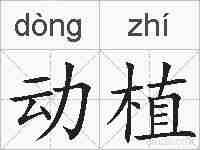 动植的拼音