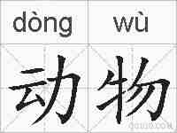 动物的拼音
