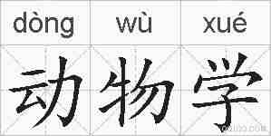 动物学的拼音