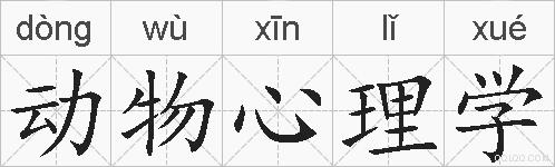 动物心理学的拼音