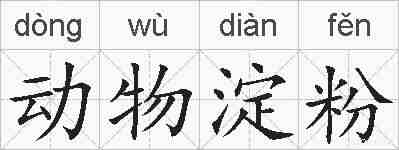 动物淀粉的拼音