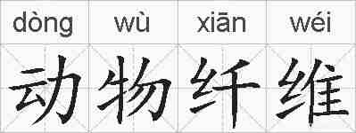动物纤维的拼音