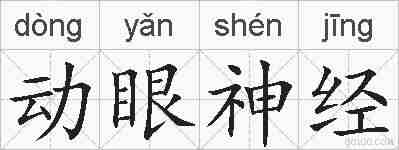动眼神经的拼音