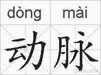 动脉的拼音