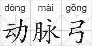 动脉弓的拼音