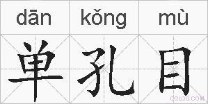 单孔目的拼音
