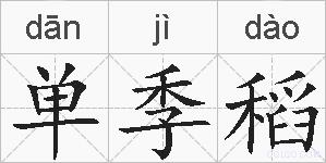 单季稻的拼音