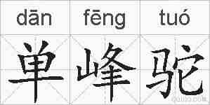 单峰驼的拼音