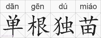 单根独苗的拼音
