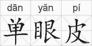 单眼皮的拼音