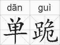 单跪的拼音