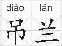 吊兰的拼音
