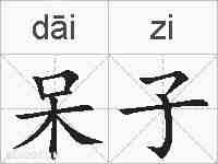 呆子的拼音