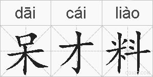 呆才料的拼音