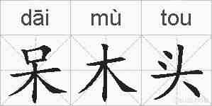 呆木头的拼音