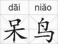 呆鸟的拼音
