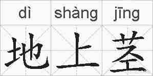 地上茎的拼音
