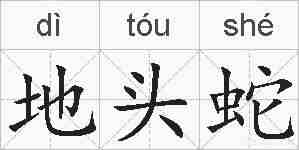 地头蛇的拼音