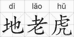 地老虎的拼音