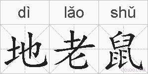 地老鼠的拼音